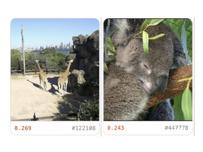 Finding hidden bias in large image datasets
